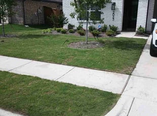 Jesse V.'s lawn maintenance service result