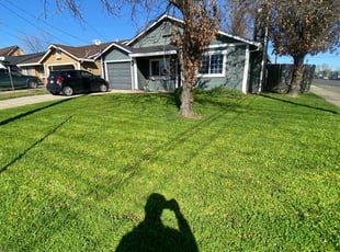 Macy S.'s grass cutting service result