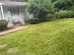 James M.'s turf maintenance service result