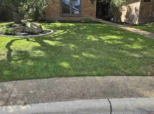 Stacie S.'s lawn service service result