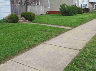 Len S.'s turf maintenance service result