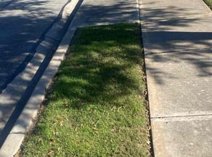 Diana W.'s lawn maintenance service result