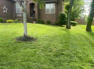 Suzanne H.'s grass maintenance service result