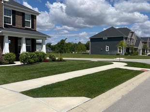 Amber S.'s landscaping services service result