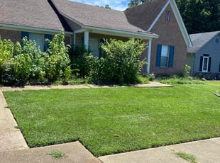 Nancy J.'s lawn service service result