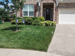 Renee V.'s yard work service result