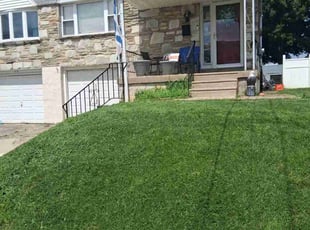 Adam L.'s turf care service result