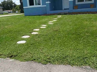 Eric B.'s turf care service result
