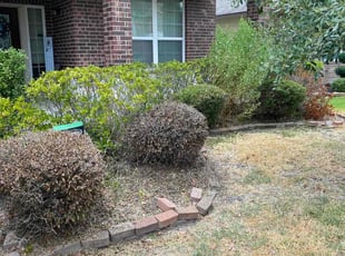 Malcolm H.'s Bush Trimming service result