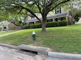 Jessica G.'s grass cutting service result