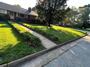 Joshua W.'s lawn care services service result