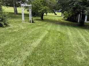 Maria S.'s lawn service service result