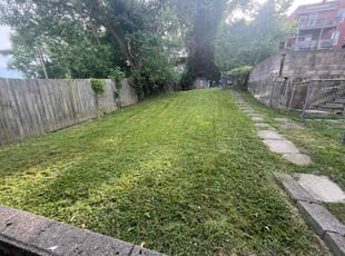 Adam A.'s grass cutting service result