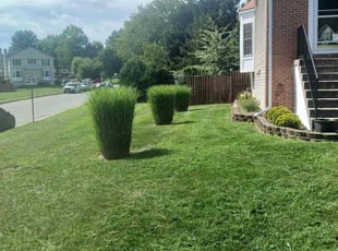 Rinde A.'s turf maintenance service result