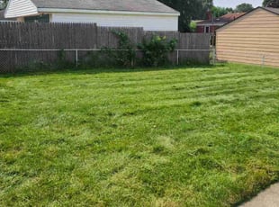 Brandon G.'s lawn service service result