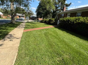 Adrienne G.'s lawn maintenance service result