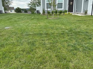 Josh T.'s lawn care services service result
