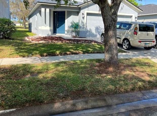 Henry L.'s Leaf Removal service result