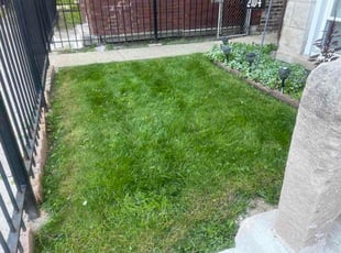 Viji N.'s lawn care services service result