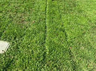 Ricardo J.'s lawn service service result