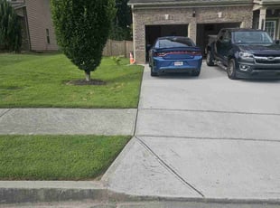Robert C.'s grass maintenance service result