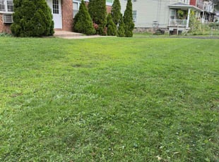 Austin F.'s lawn service service result
