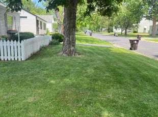 John K.'s landscape maintenance service result