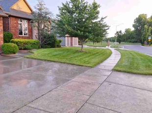 Aleksei M.'s lawn service service result