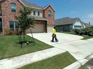 Tom E.'s grass cutting service result