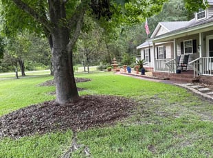 William S.'s turf maintenance service result