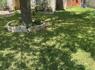 Lauren S.'s lawn maintenance service result