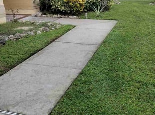 Juan J.'s grass cutting service result