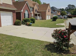 Rita B.'s lawn care service result