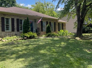 Cindy B.'s lawn care service result