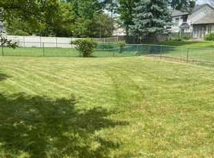 Andre C.'s grass maintenance service result