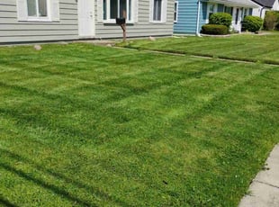 Sean R.'s grass cutting service result
