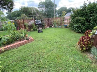 Ron V.'s lawn service service result