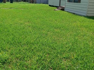 Kristen L.'s grass cutting service result