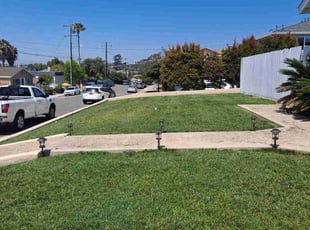 Samuel F.'s lawn care service result
