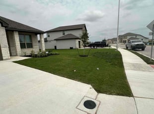 Lashonda P.'s lawn maintenance service result