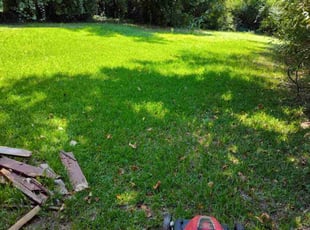 Mike R.'s lawn maintenance service result