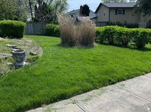 Austin E.'s grass maintenance service result