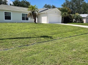 Heather P.'s grass maintenance service result
