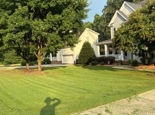 Jacqueline G.'s yard work service result