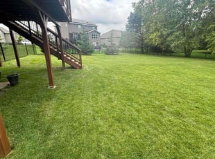 Sandra M.'s lawn care service result
