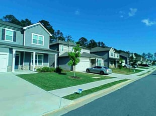 Erlinda P.'s grass maintenance service result