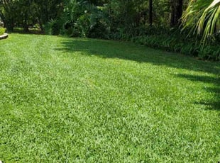Dawn H.'s lawn service service result