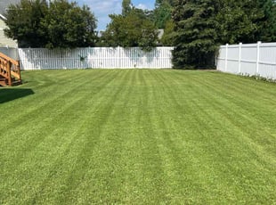 Minka B.'s lawn care service result