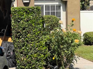 Jason D.'s Bush Trimming service result