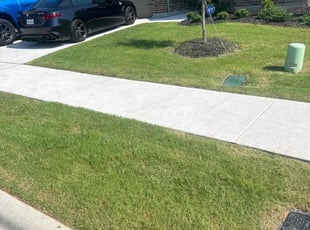 Kaylee I.'s lawn care service result